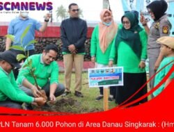 Peringati Hari Menanam Pohon Nasional, PLN Tanam 6.000 Pohon di Area Danau Singkarak