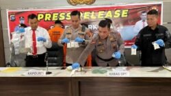 Pasaman