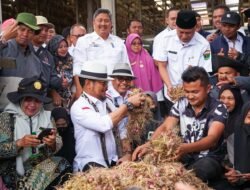 Bupati Solok Terima Kunjungan Menteri Pertanian RI