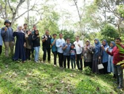 Tower BTS Bakal Dibangun Di Bukit Bais, Tim Survey Tinjau Lokasi Guna Persetujuan Penggunaan Kawasan Hutan