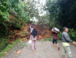 Alat Berat dan TRC BPBD Bersihkan Material Longsor di Nagari Lolo