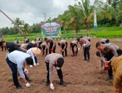 Polres dan Pemko Sawahlunto Bersinergi Luncurkan Gerakan Serentak Tanam Jagung untuk Ketahanan Pangan