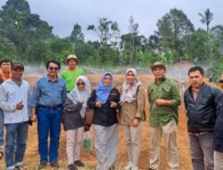 TPID Lakukan Monev Peningkatan ketersediaan dan Pasokan Pendukung Kegiatan Pengendalian Inflasi ke Kelompok Tani di Lembah Gumanti