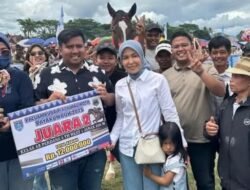 Kuda My Dream dan Subha Mutiara Hitam Stable Sawahlunto Raih Juara di Walikota Payakumbuh Cup