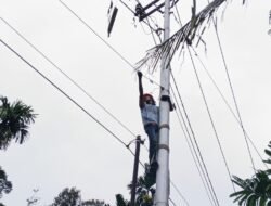 Antisipasi Cuaca Ekstrem, PLN Icon Plus Lakukan Pemeliharaan Jaringan Fiber Optik di Jalur Bungus–Painan