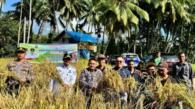 Basawah Pokok Murah, Inovasi Jon Firman Pandu–Candra untuk Petani Solok yang Lebih Sejahtera dan Mandiri