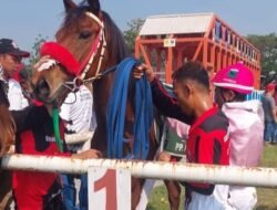 Kuda Red Ricee KC Taput Loloskan Sumut ke Final Kejurnas Pordasi ke 59 seri I