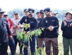 Bupati Welly Suhery: Menanam Pohon Adalah Menanam Harapan untuk Pasaman
