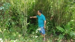 Sering-Seringlah Berbicara dengan Ayah dan Ibumu