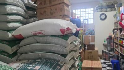 Petani Sumbar Lega, Distribusi Pupuk Bersubsidi oleh CV. Tani Maju Sudah Capai 53 Persen