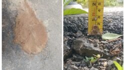 Peningkatan Jalan Lingkungan diTiyuh Panaragan Jaya, tuai Sorotan Masyarakat