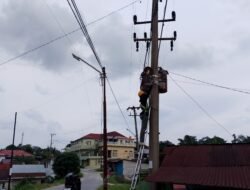 Jaga Konsistensi Layanan Telekomunikasi, PLN Icon Plus Lakukan Pemeliharaan Fiber Optik di Minas Jaya, Siak