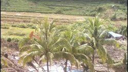 Tambang Emas Ilegal Diduga Masih Beroperasi di Solok, Lolos dari Razia PETI